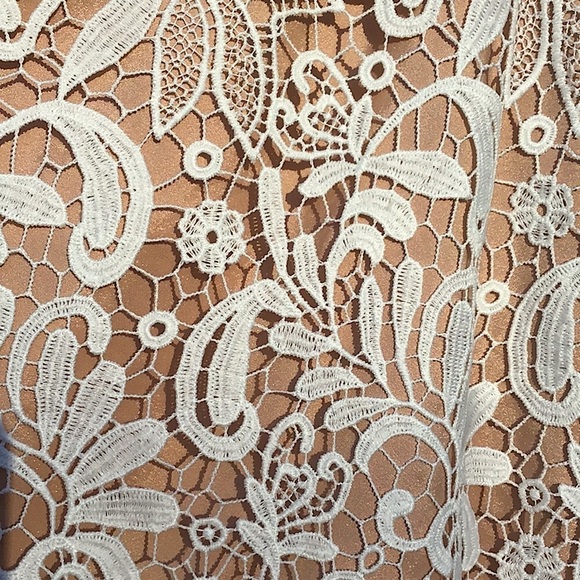 White House Black Market Cream Lace With Nude Lining Pencil Skirt - Picture 3 of 12